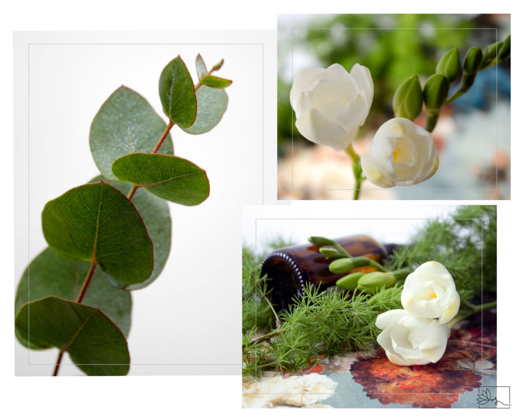 Składniki naturalne